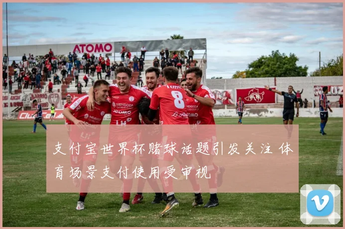 支付宝世界杯赌球话题引发关注 体育场景支付使用受审视