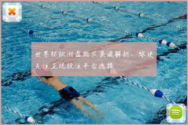 世界杯欧洲盘购买渠道解析,球迷关注正规投注平台选择