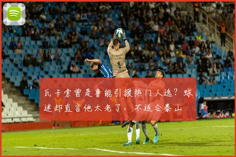瓦卡索曾是鲁能引援热门人选？球迷却直言他太老了，不适合泰山