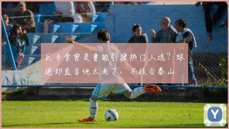 瓦卡索曾是鲁能引援热门人选?球迷却直言他太老了,不适合泰山