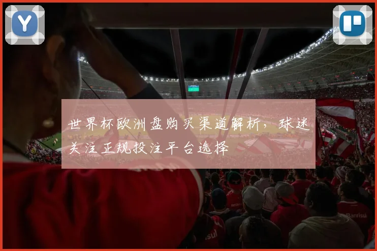 世界杯欧洲盘购买渠道解析,球迷关注正规投注平台选择
