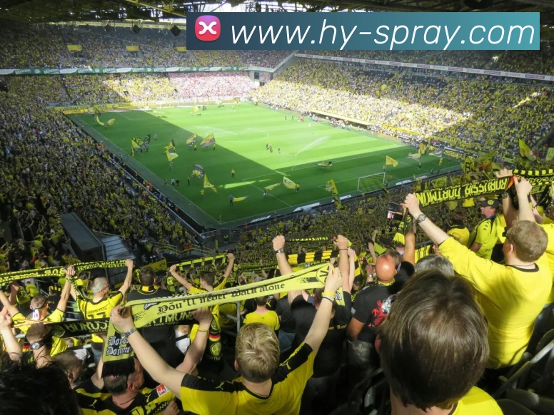 leyu官网入口发展历程